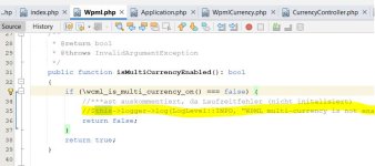 Fehler WPML-Logger nicht initialisiert.JPG
