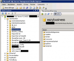 MSSQLServer_eazybuisness-db.png
