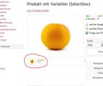 vorschaubilder.JPG vorschaubilder.JPG