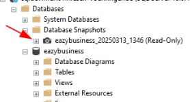snapshot.png