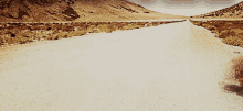 steppenläufer-tumbleweed.gif