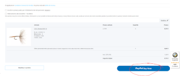 paypal button wrong language.png