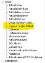 Bild4.jpg
