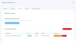 jtl-translate-pro-professionelle-sprachverwaltung-fuer-jtl-shop-5-jtl-shop-5~3.jpg