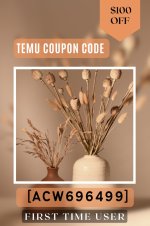 WhatsApp Image 2025-08-10 at 11.03.19_30bd3b5f.jpg