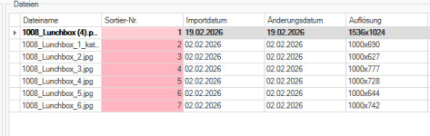 2026-02-20 08_17_25-Artikelstammdaten.png
