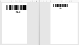 Barcodes PDF Ausrichtung-Seitenformat.PNG
