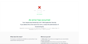link11 security fault.png