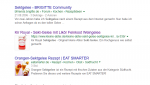 Bild-Google-Suche.PNG