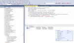 meldebestand per sql.png