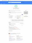 screencapture-developers-google-speed-pagespeed-insights-2019-09-20-17_16_51.png