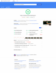 screencapture-developers-google-speed-pagespeed-insights-2019-09-20-17_21_06.png