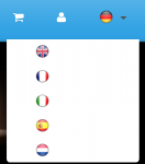 Auswahl.png