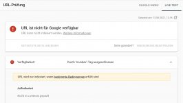 googlefehler.JPG