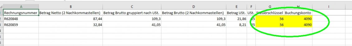 Steuerschlüssel Excel.jpg