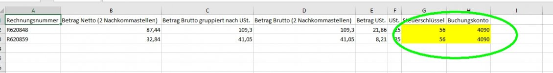 Steuerschlüssel Excel.jpg