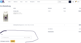 Gegenwärtige Ansicht mit STRIPE Plugin im JTL Shop.png