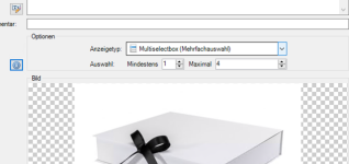Bildschirmfoto 2021-12-01 um 13.34.08.png