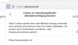 google.jpg