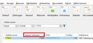 Interner Schlüssel.png