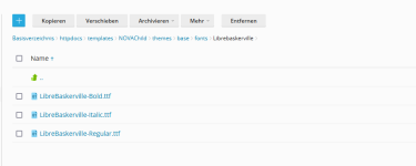 pfad plesk.png