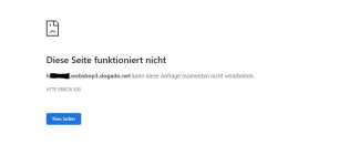 Ladefehler.JPG