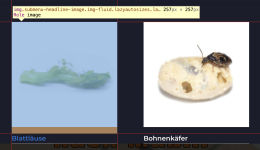 Bildschirmfoto 2022-05-19 um 15.18.54.png