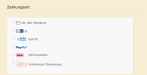 Fehler_Darstellung_Firefox_Zahlarten.PNG