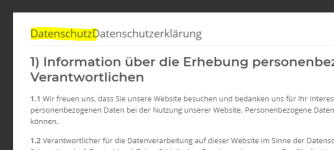 Anhang1-Doppelte Überschrift Datenschutzerklärung im Checkout.PNG