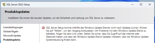 Windows 11 SQL 2022 Update Fehler.jpg