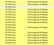 ratepay_fehlende_daten_liste.png