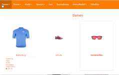 Damen-Sonnenbrillen.png