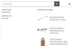 jtl_search_umlaut_1_1.png