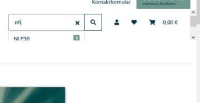 Search bar.JPG
