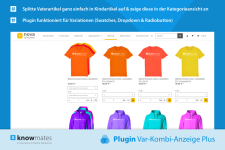 750x500_Plugin_VAR-Kombi-Anzeige Plus (Forumsbild).png