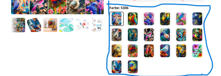 Screenshot 2024-02-28 at 12-31-55 1.85CHF 60% OFF Ever shine neue DIY Diamant Stickerei Vogel ...png Screenshot 2024-02-28 at 12-31-55 1.85CHF 60% OFF Ever shine neue DIY Diamant Stickerei Vogel ...png